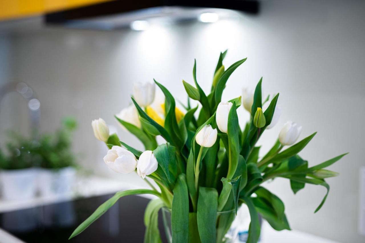 Apartamenty Tespis - Francuska Atal Park II Katowice Zewnętrze zdjęcie